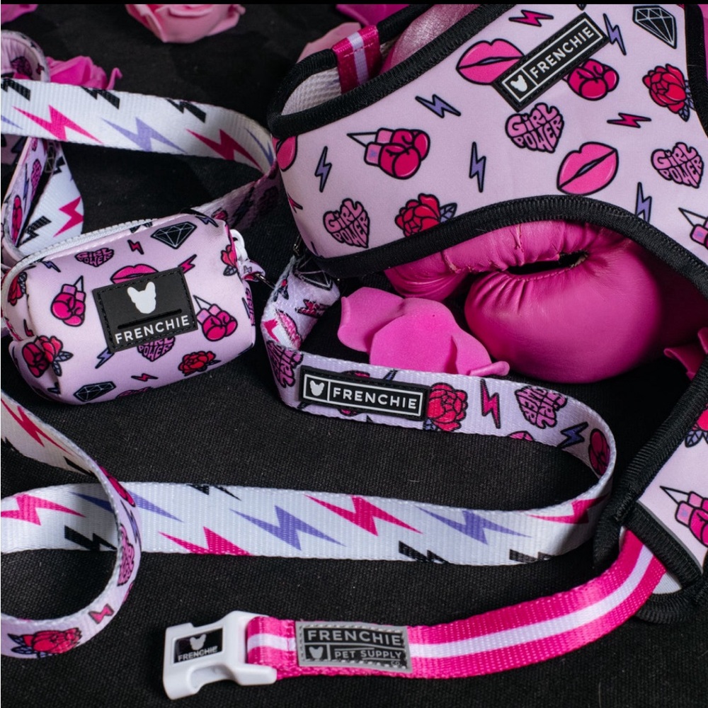DISO FRENCHIE BULLDOG GIRL POWER HARNESS L AND LEASH SET